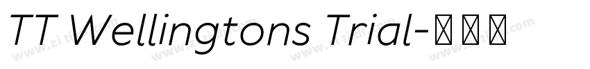 TT Wellingtons Trial字体转换